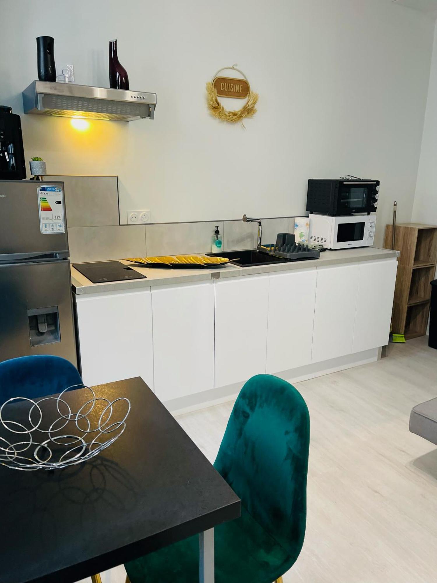 Le Caubous Plein Centre Appartement Calme Avec Chambre Et Cuisine Equipee Apartment Bagnères-de-Bigorre